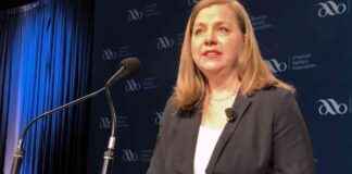 fed-governor-bowman-progress-on-nflation-needed-before-rate-cuts