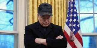 tesla-stock-drops-6-as-musk-distracted-by-opena-bid