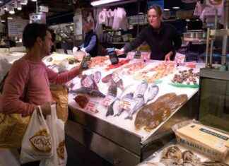 Trump Tariffs Benefit American Tourists Traveling Abroad trump-tariffs-benefit-american-tourists-traveling-abroad