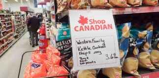 canadas-economic-strength-in-tariff-negotiations-a-4-year-plan