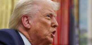 trump-blames-globalists-for-stock-market-decline