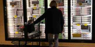 wholesale-egg-prices-drop-shoppers-to-benefit-soon