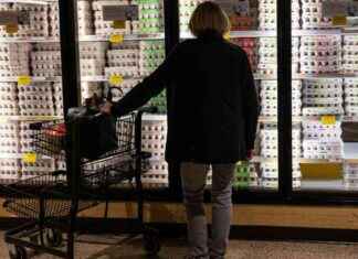 Wholesale Egg Prices Drop, Shoppers to Benefit Soon wholesale-egg-prices-drop-shoppers-to-benefit-soon