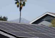 The Risks of Trump’s Energy Policy on U.S. Clean Energy Boom the-risks-of-trumps-energy-policy-on-us-clean-energy-boom