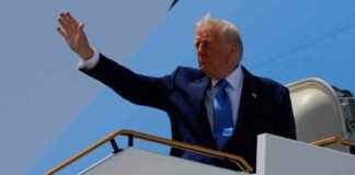 trump-to-call-putin-zelenskyy-and-nato-for-ceasefire-talks