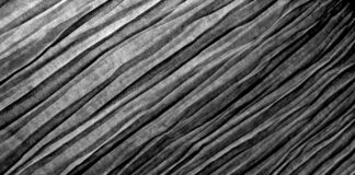 What Is Order Flow In Forex? Unveiling Secrets To Trading Success