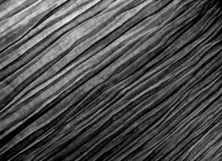 What Is Order Flow In Forex? Unveiling Secrets To Trading Success