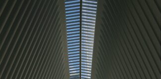 What Are the Most Common Trading Mistakes Traders Must Avoid Today?