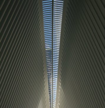 What Are the Most Common Trading Mistakes Traders Must Avoid Today?