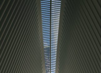 What Is the Best Trading Style for Beginners? Expert Tips Revealed