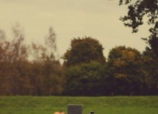 Cross Pairs Vs. Majors: Which Offers Greater Trading Edge?