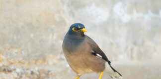 How To Avoid Common Beginner Mistakes In Forex And Succeed Fast