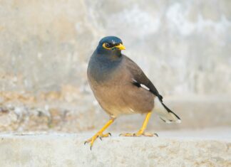 How To Avoid Common Beginner Mistakes In Forex And Succeed Fast