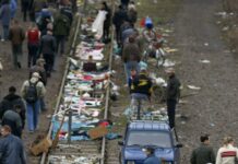 How To Trade Without Letting Emotions Take Over: Secrets Revealed