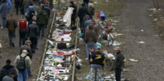 How To Trade Without Letting Emotions Take Over: Secrets Revealed