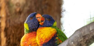 Understanding Major Minor And Exotic Pairs: Secrets Every Trader Must Know