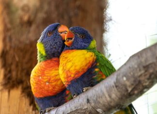 Understanding Major Minor And Exotic Pairs: Secrets Every Trader Must Know