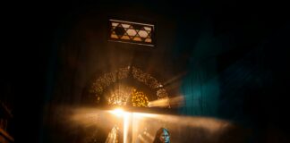 How to Use Fibonacci in Forex To Unlock Trading Secrets