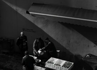 Setting Up Your First Trade On MetaTrader: Expert Tips Revealed