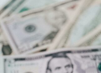 The Role Of The USD In Global Forex Trading: Why It Dominates Markets