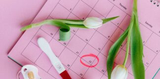 The Importance Of A Positive Expectancy System: Unlock Success Now