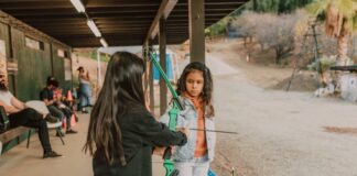 What Timeframes Should Beginners Use In Forex? Expert Tips Revealed