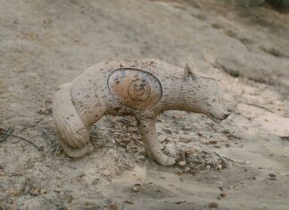 What Is a Realistic Expectation in Forex? Expert Insights Revealed