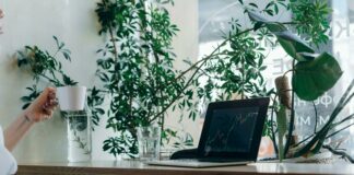 How To Track Institutional Trading Behavior: Secrets Traders Use