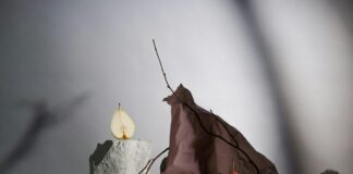 Are Zero-Commission Brokers Actually Worth It? Unveiling Truths