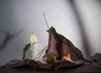 Are Zero-Commission Brokers Actually Worth It? Unveiling Truths