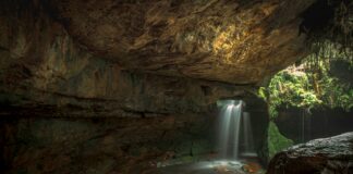 pexels photo 12233685