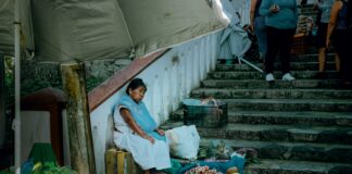 pexels photo 12319263