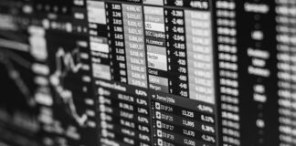 pexels photo 16594724