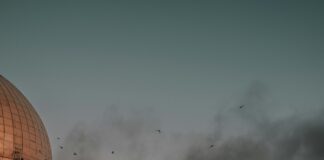 Comparing Swap-Free Islamic Accounts Across Brokers: Which Stands Out?