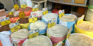 pexels photo 17109241