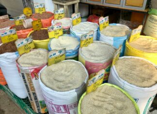 Agricultural Commodities: Unveiling Wheat And Corn Market Trends