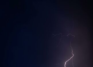 The Science Behind Greed And Fear In Markets: Shocking Truths Revealed