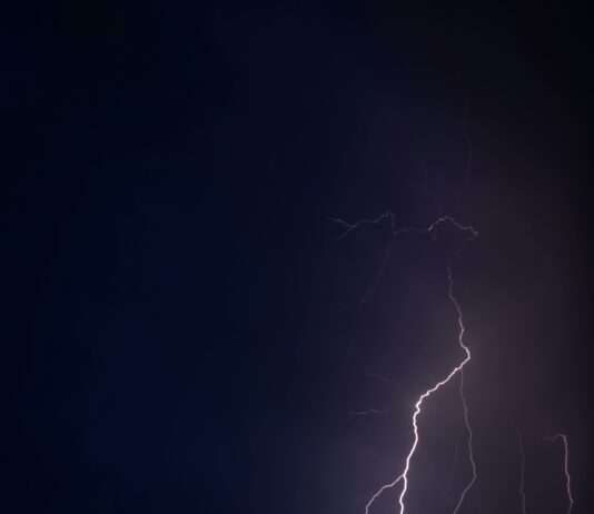 pexels photo 18417072