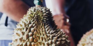 pexels photo 19142289