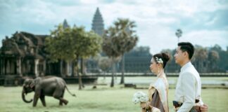 Comparing Account Types: Standard Vs ECN Vs Pro – Which Is Best?