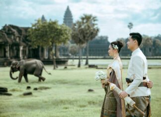 Comparing Account Types: Standard Vs ECN Vs Pro – Which Is Best?