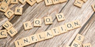 pexels photo 19867469