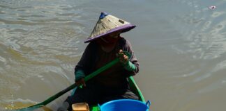 pexels photo 20723259