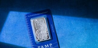 pexels photo 20979927