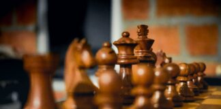 pexels photo 2323562