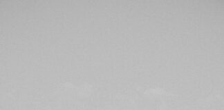 Are CFTC-Regulated Brokers Still Worth It? Discover Why!