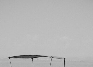 Are CFTC-Regulated Brokers Still Worth It? Discover Why!