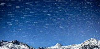 pexels photo 27979611