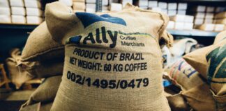 pexels photo 2868982