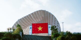 pexels photo 30130073